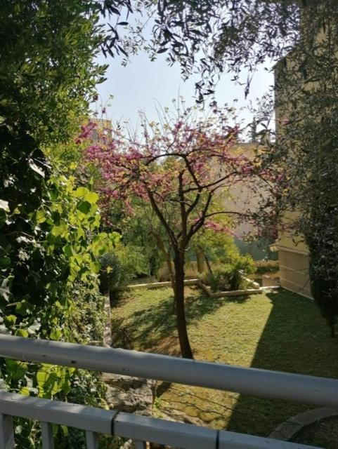 Villa Soraya , Quiet Location With Big Garden Near Beach And Old Town Of Nice Exterior photo